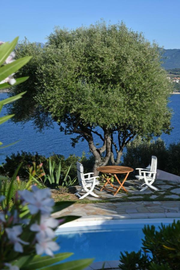 Villa Vetricella Corse Sud Olmeto  Luaran gambar
