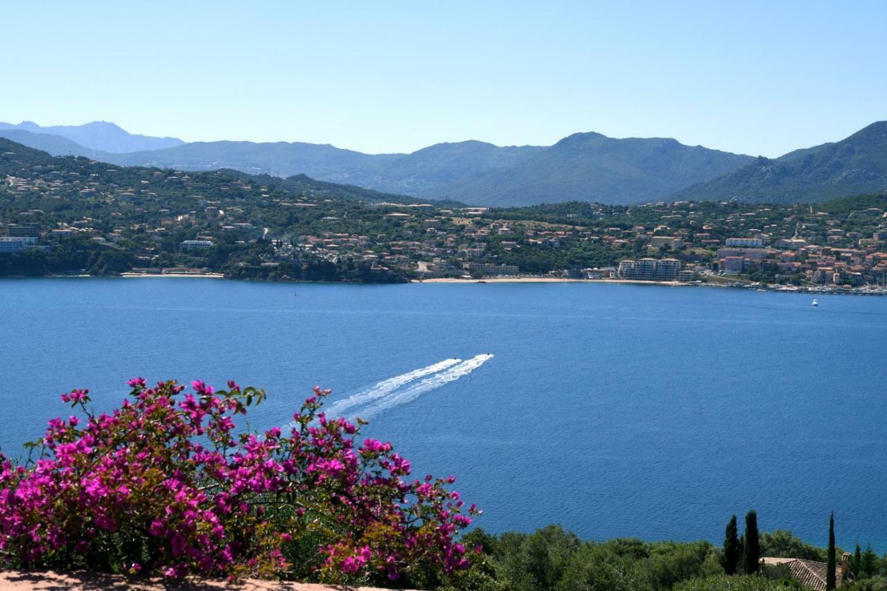 Villa Vetricella Corse Sud Olmeto  Luaran gambar