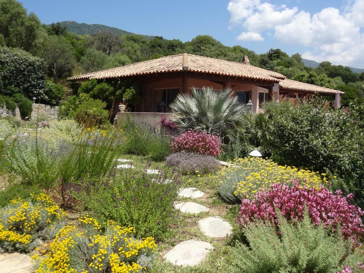 Villa Vetricella Corse Sud Olmeto  Luaran gambar