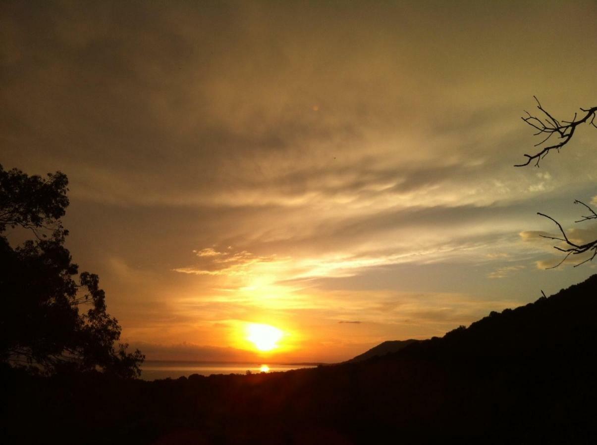 Villa Vetricella Corse Sud Olmeto  Luaran gambar