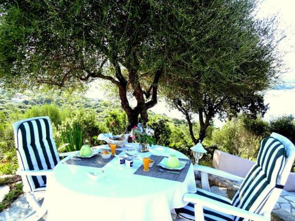 Villa Vetricella Corse Sud Olmeto  Luaran gambar