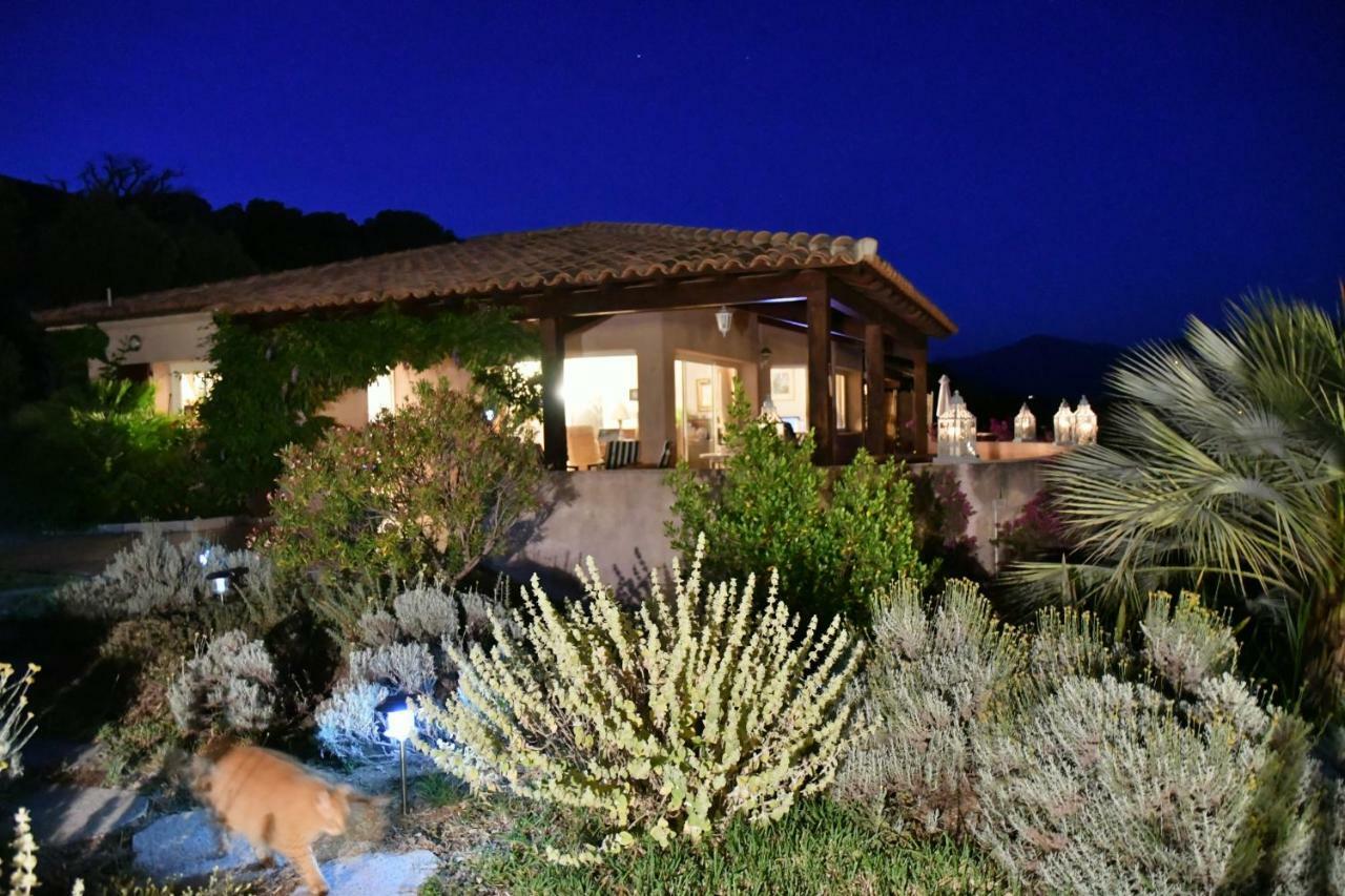 Villa Vetricella Corse Sud Olmeto  Luaran gambar
